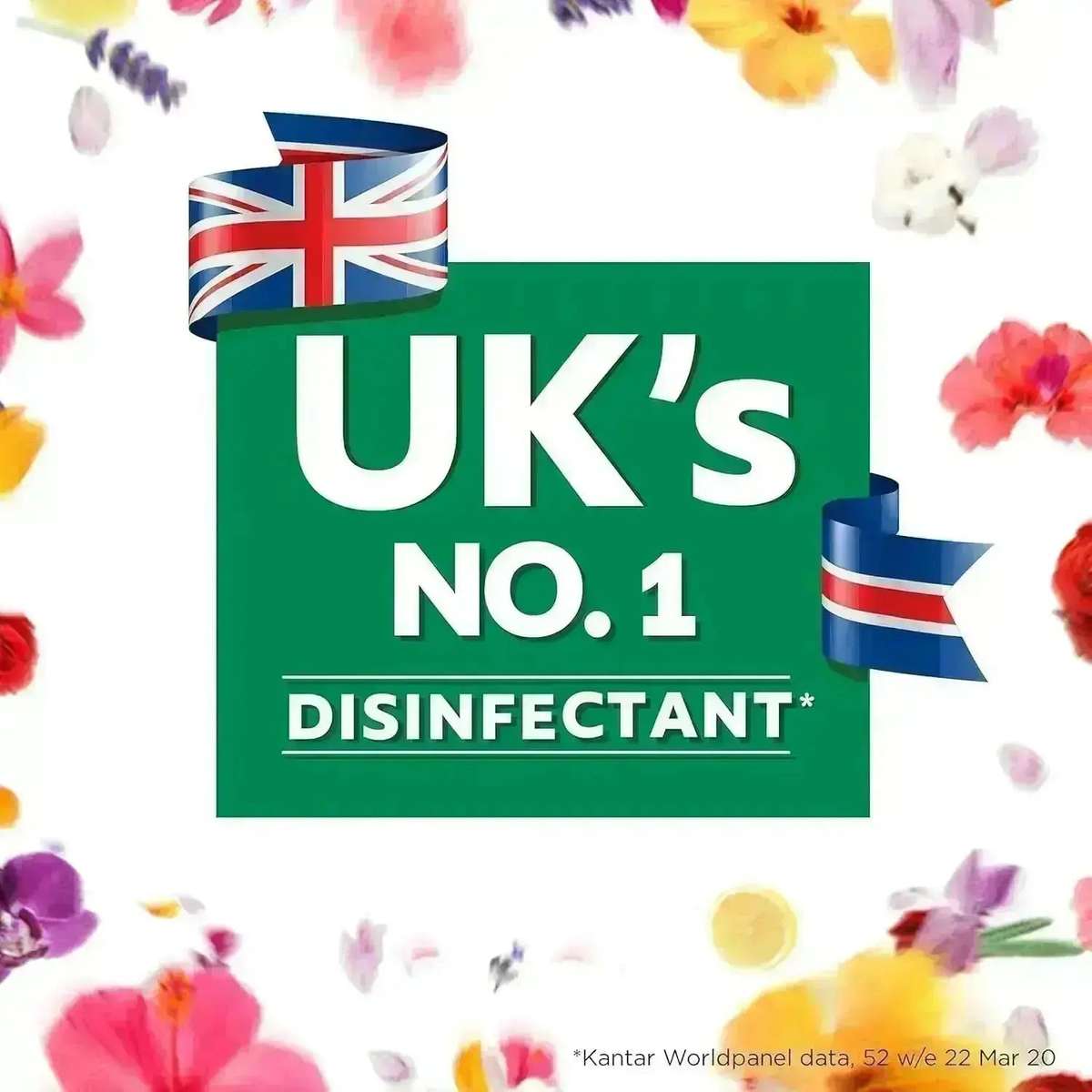 Zoflora Midnight Blooms 500ml Concentrate - Elegant Scent. Ruthless Clean.