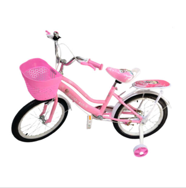 18" Frozen Bicycle for Girls  6 to 8 Years