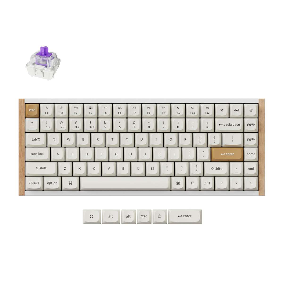 Keychron K2 HE Wireless Special Edition Magnetic Custom Keyboard | NEBULA Switch  White