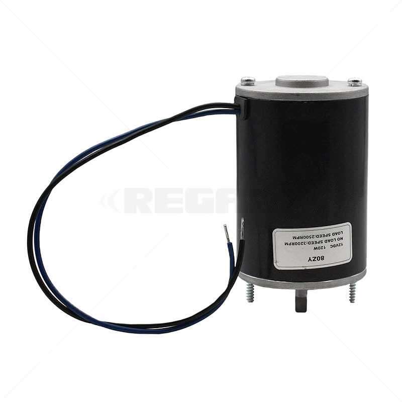 Centurion D5 12VDC Internal Motor only
