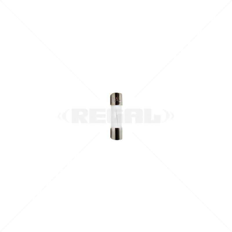 Fuse - 1Amp 5 x 20mm
