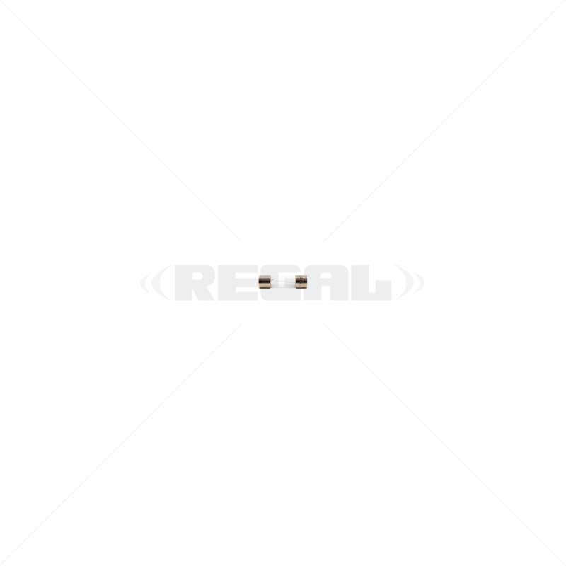 Fuse - 4Amp 5 x 20mm