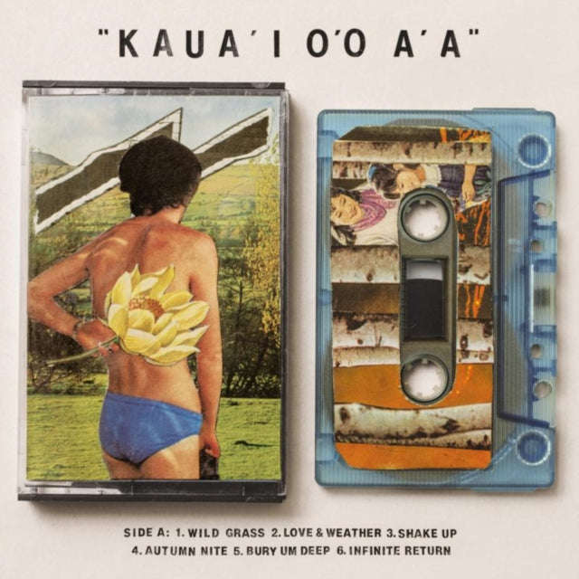 Gentle Friendly - KauaI OO AA (Vinyl)