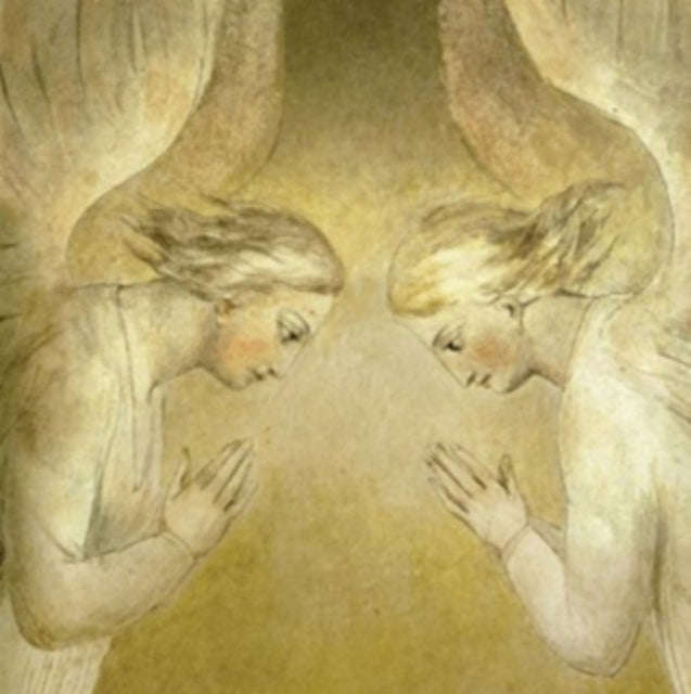 John Zorn - A Vision In Blakelight (CD)