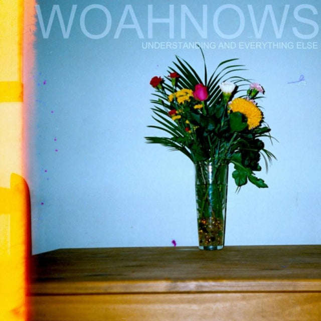 Woahnows - Understanding And Everything Else (Vinyl)