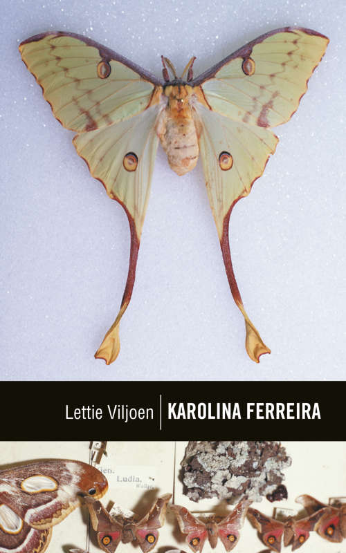 Karolina Ferreira by Lettie Viljoen  Second Hand