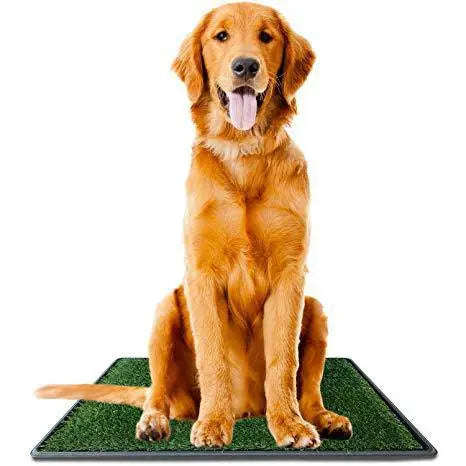 Artificial Grass Training Pad for Dogs  Indoor Toilet Training Pad