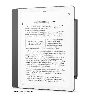 AMAZON KINDLE SCRIBE PREMIUM PEN TUNGSTEN (2024)