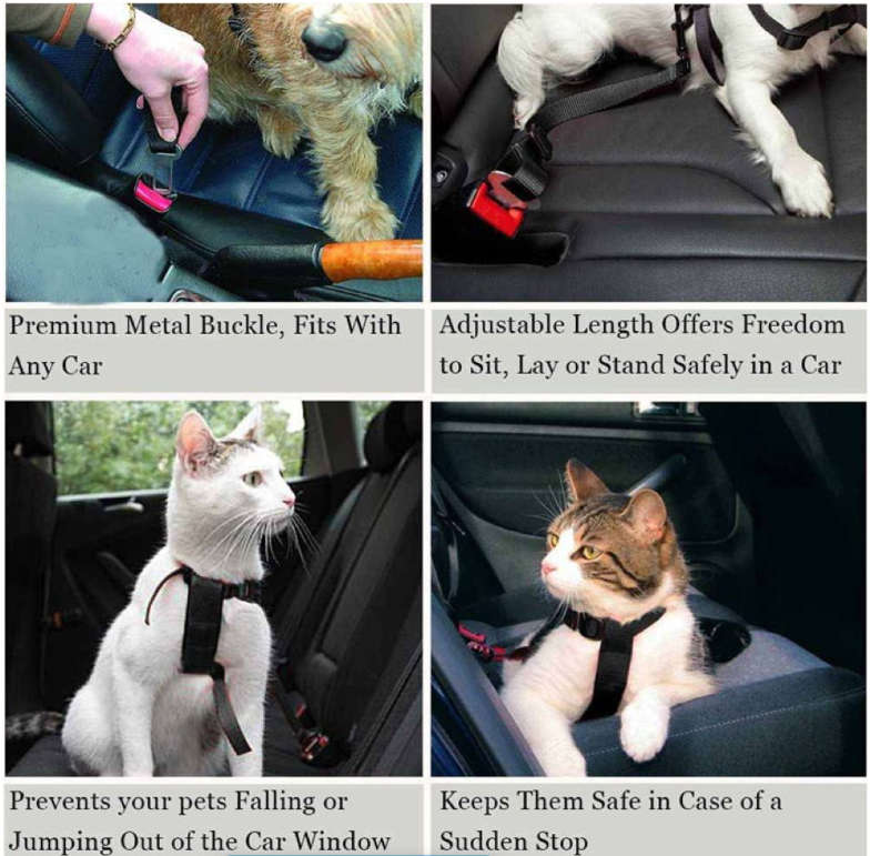 Pet Car Seatbelt Set of 2