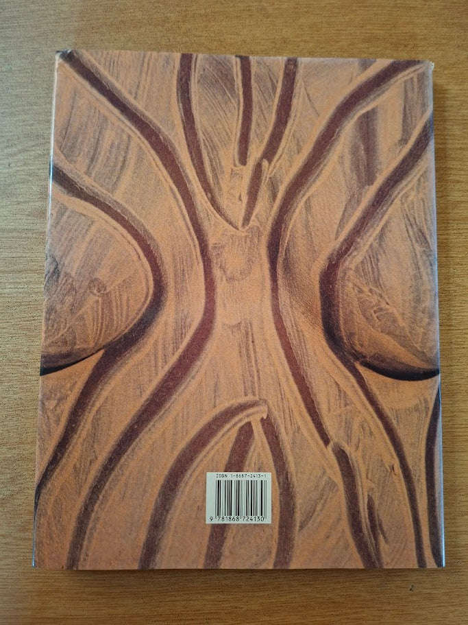 African Renaissance - Peter Magubane (Second Hand Book)