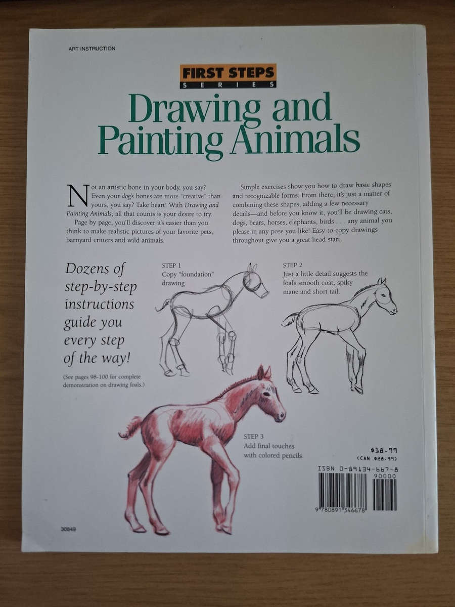 Drawing and Painting Animals  First Steps Series (Second-Hand)