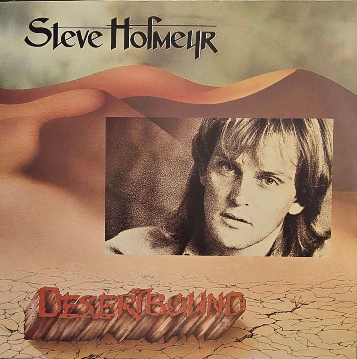 Steve Hofmeyr  Desertbound