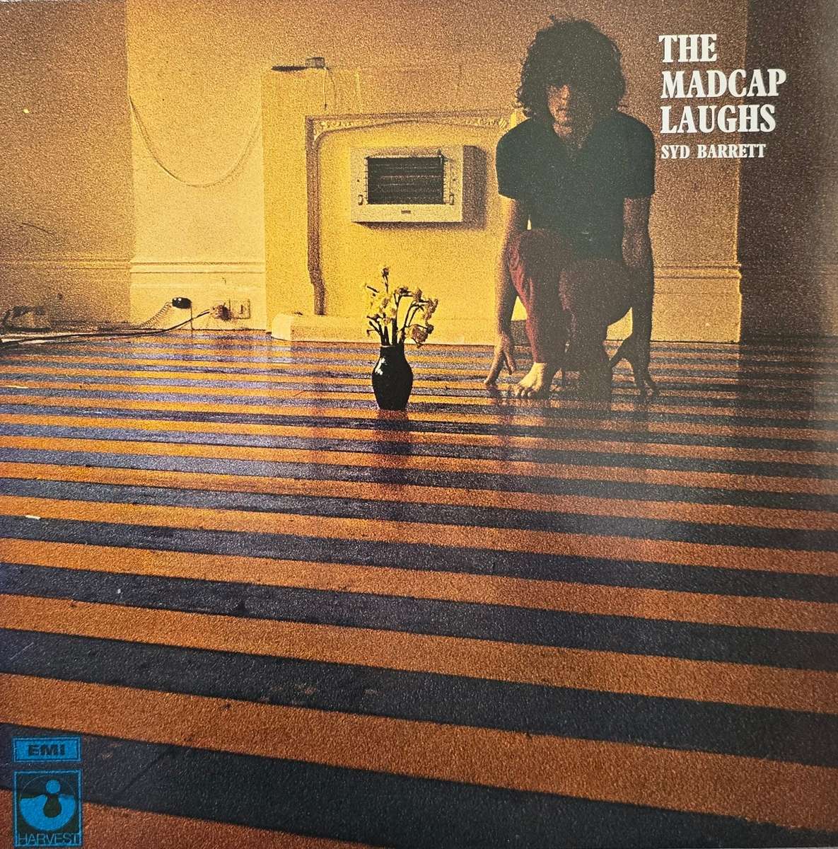 Syd Barrett  The Madcap Laughs