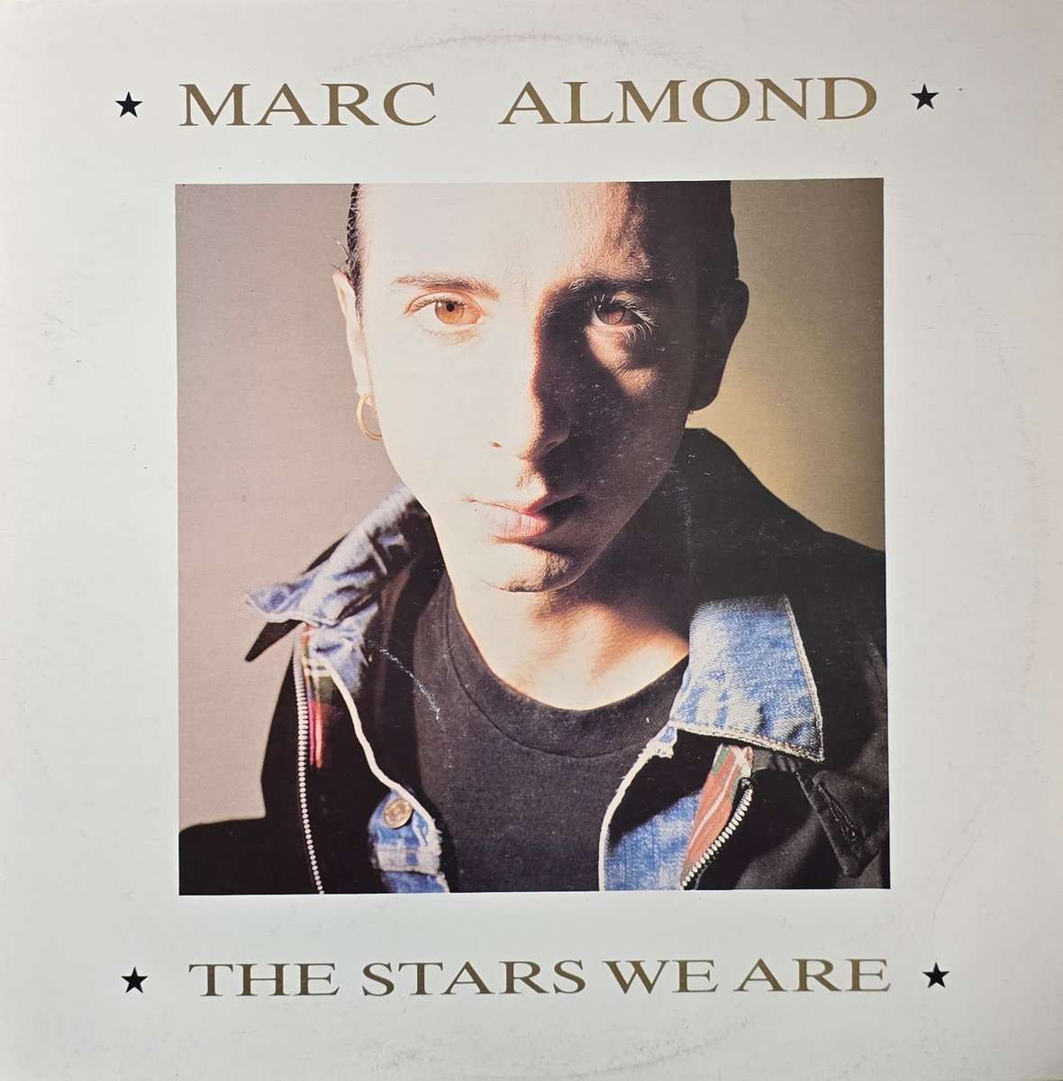 Marc Almond  The Stars We Are