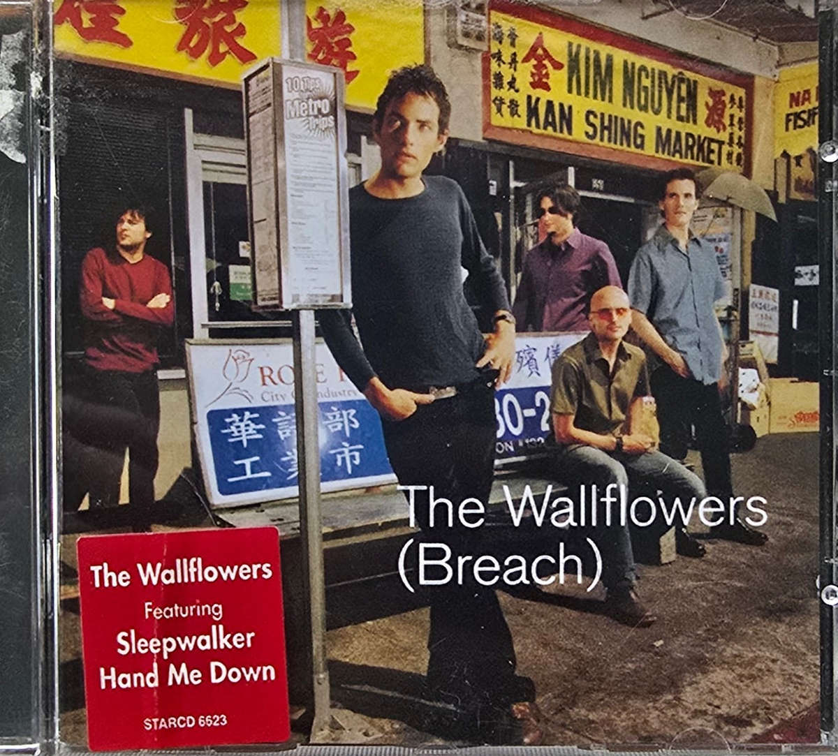The Wallflowers  (Breach) (CD)