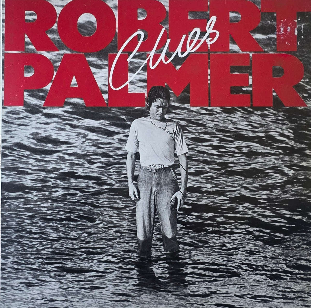 Robert Palmer  Clues