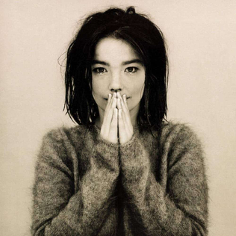 Björk  Debut