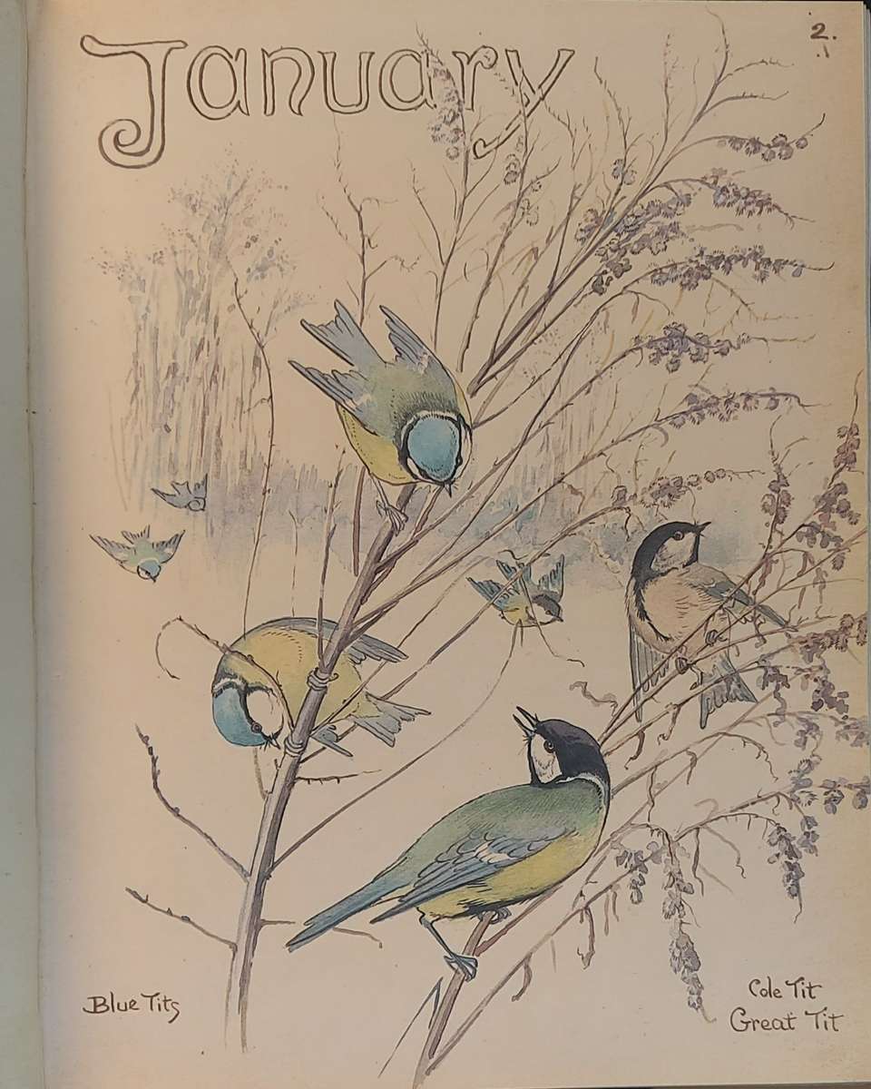 The Country Diary of an Edwardian Lady, Edith Holder