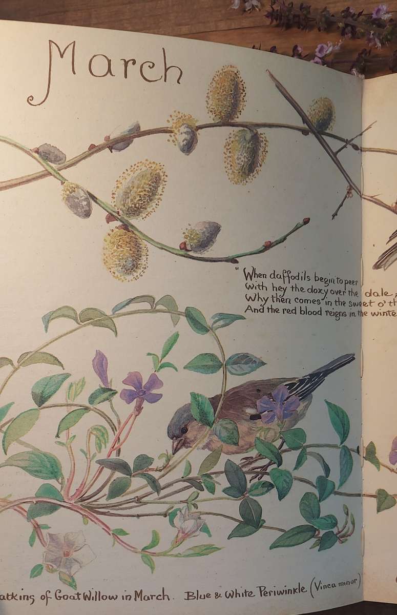 The Country Diary of an Edwardian Lady, Edith Holder