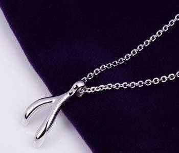 Wishbone Titanium Stainless Steel Necklace