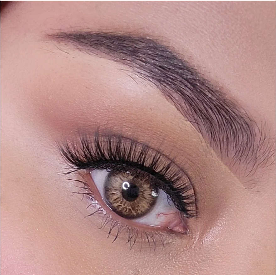 Meetone Aphrodite Brown Yearly Contact Lens