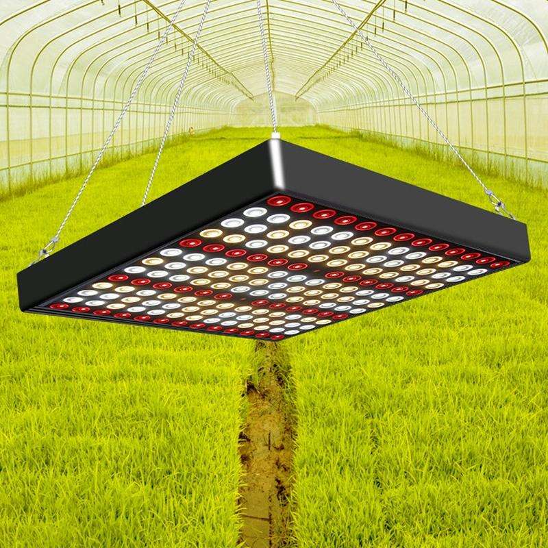 Large 169 LEDs Quantum Plant Growth Lighting Outdoor Full Spectrum Planting Lamp(EU Plug)