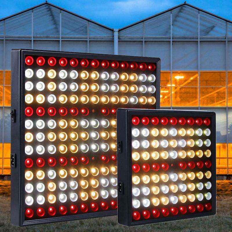 Large 169 LEDs Quantum Plant Growth Lighting Outdoor Full Spectrum Planting Lamp(EU Plug)