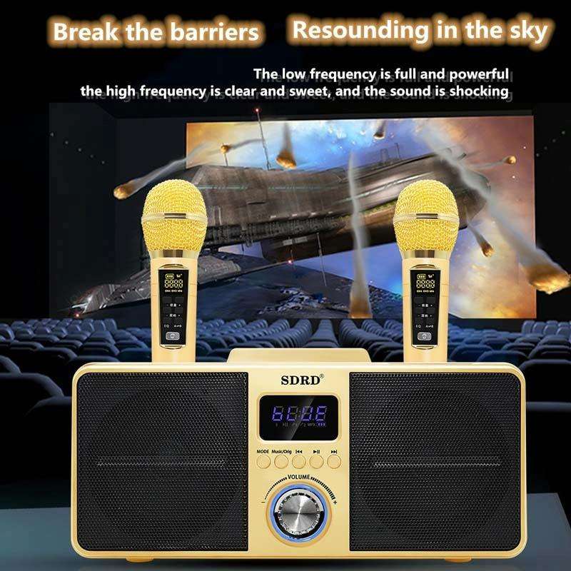 SDRD SD309 Wireless Microphone Bluetooth Audio All-In-One Machine(Golden)