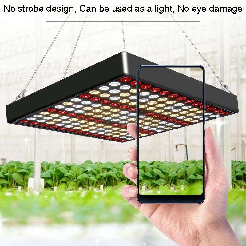 Large 169 LEDs Quantum Plant Growth Lighting Outdoor Full Spectrum Planting Lamp(EU Plug)