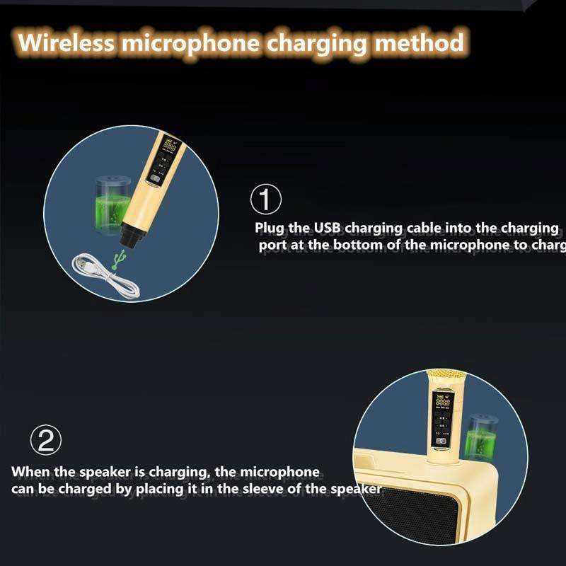 SDRD SD309 Wireless Microphone Bluetooth Audio All-In-One Machine(Golden)