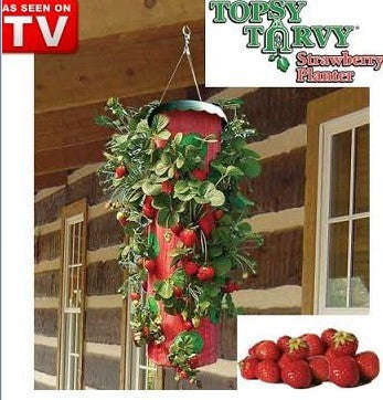 Upside down Strawberry planter