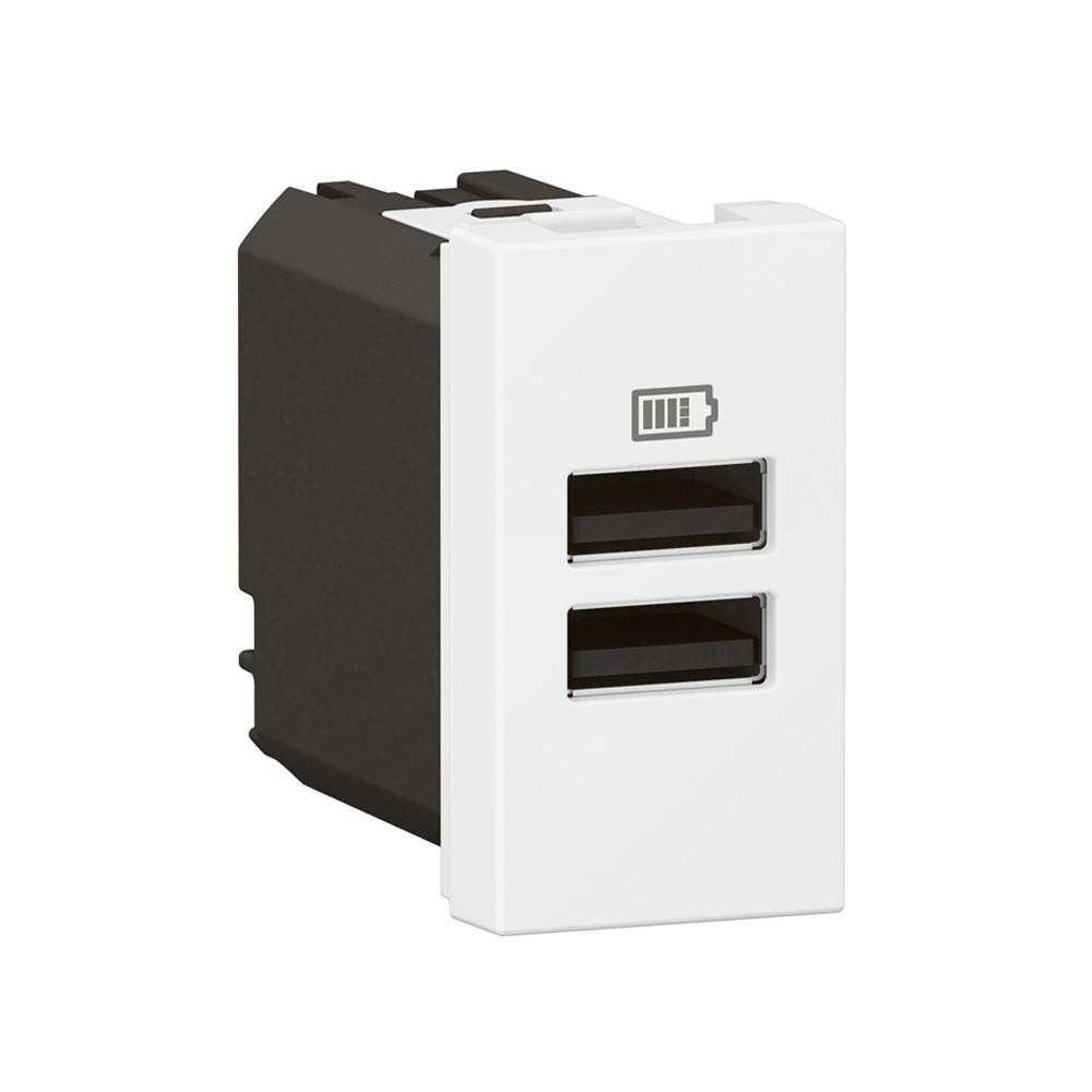Legrand Arteor Double USB-A Socket Module