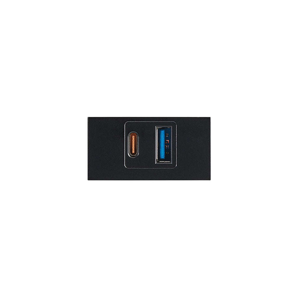 Bright Star Modular USB-A/C Module