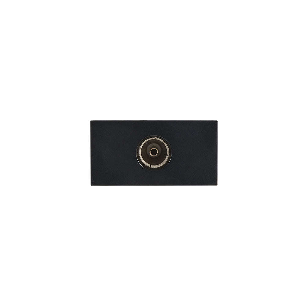 Bright Star Modular Satellite TV Port Module