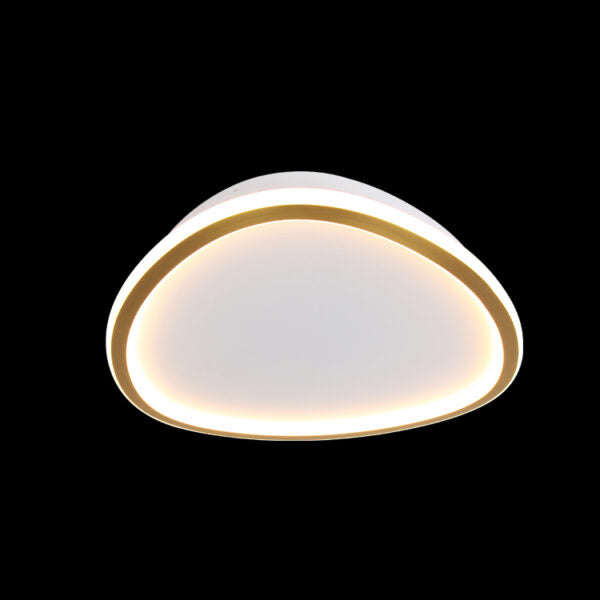 K. Light Ovoid Small LED Ceiling Light 3000K
