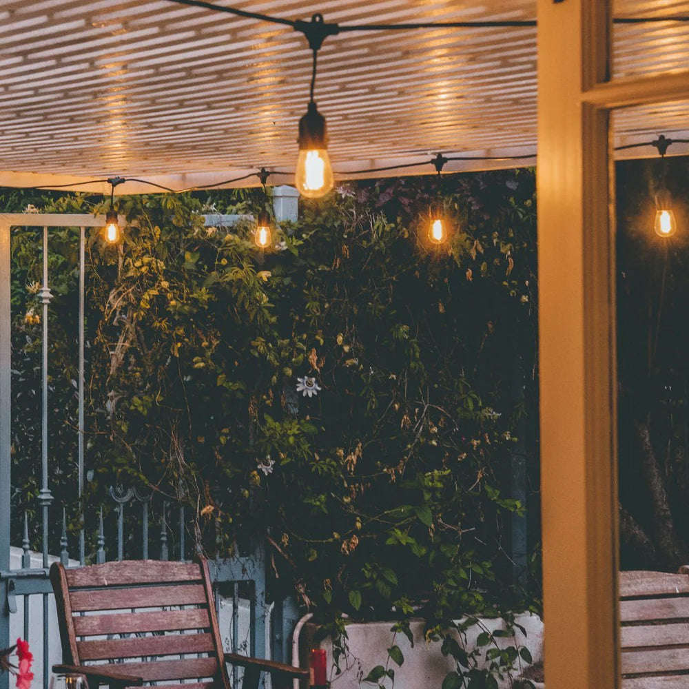 Litehouse Traditional LED Bulb Festoon String Lights