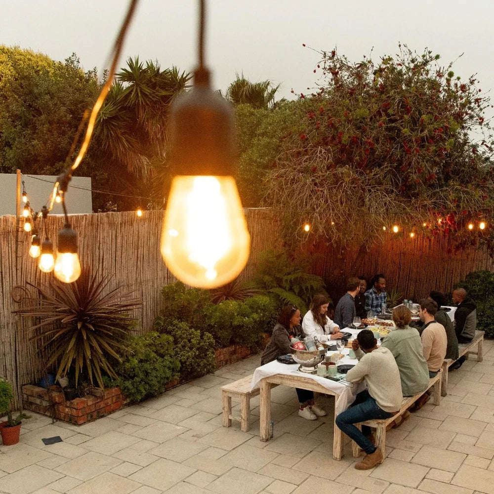 Litehouse Traditional LED Bulb Festoon String Lights 2700K