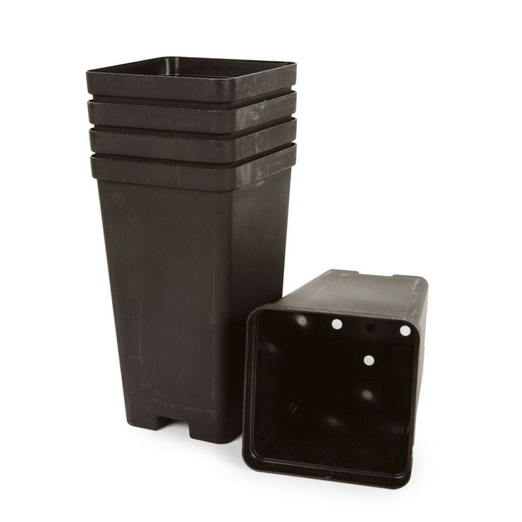 Plastic, Tall Drainage Pot, 9 x 9 x 16cm - Container Bundle, 5PC