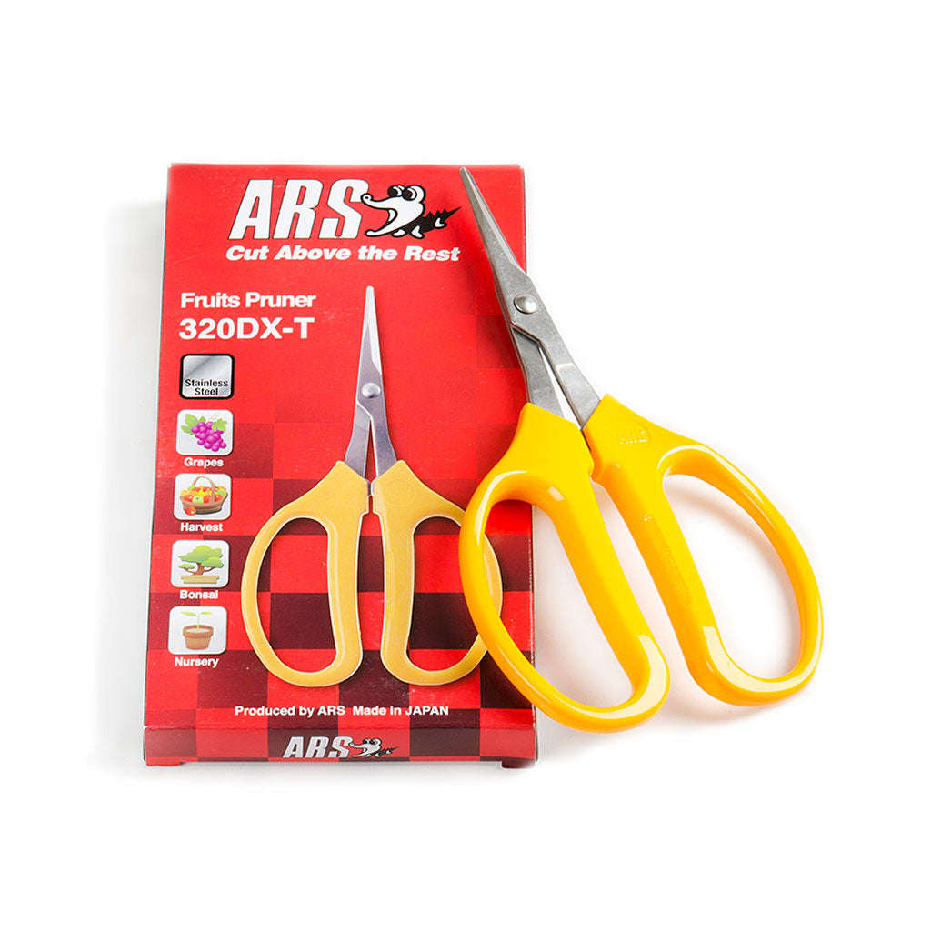 Bonsai Apprentice Collection