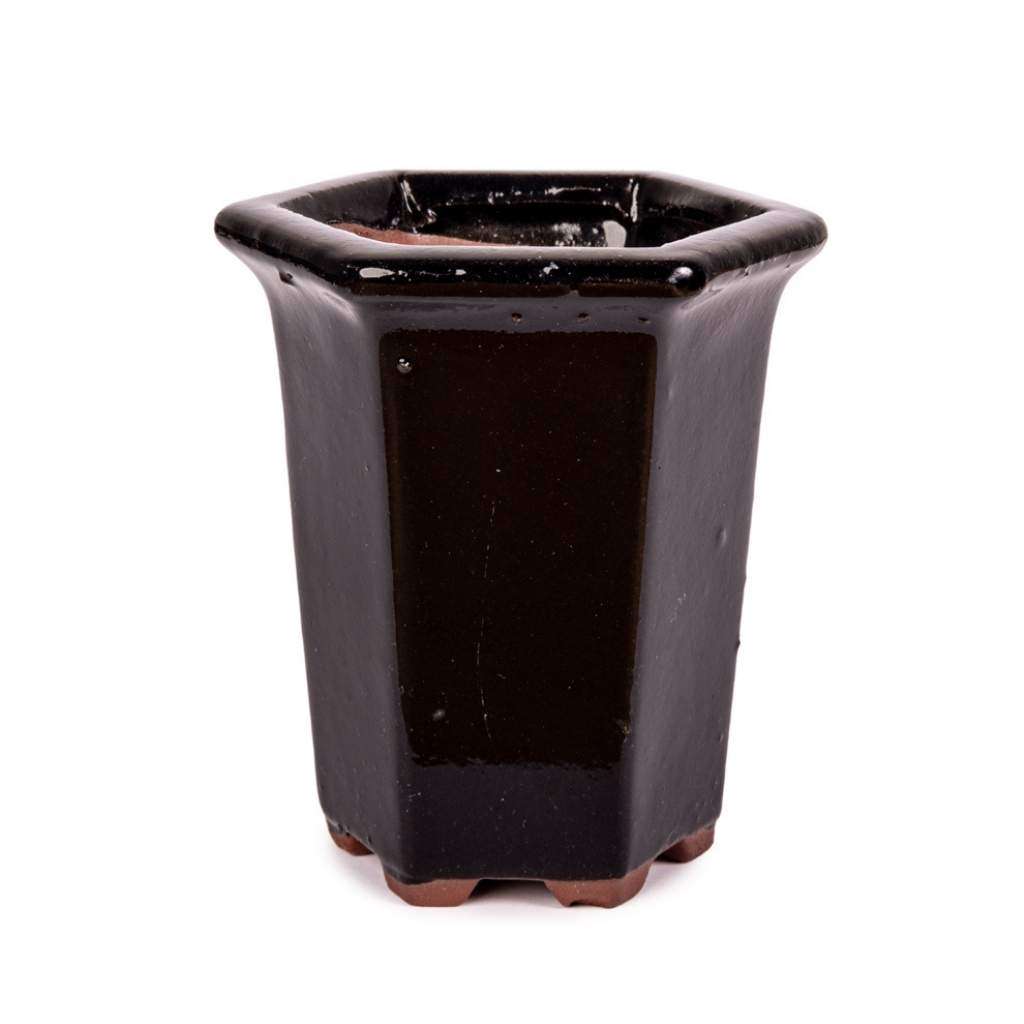 Assorted Glazed Cascade Pots, 6 x 6 x 9cm - Black Hexagon with lip (6 Sides)