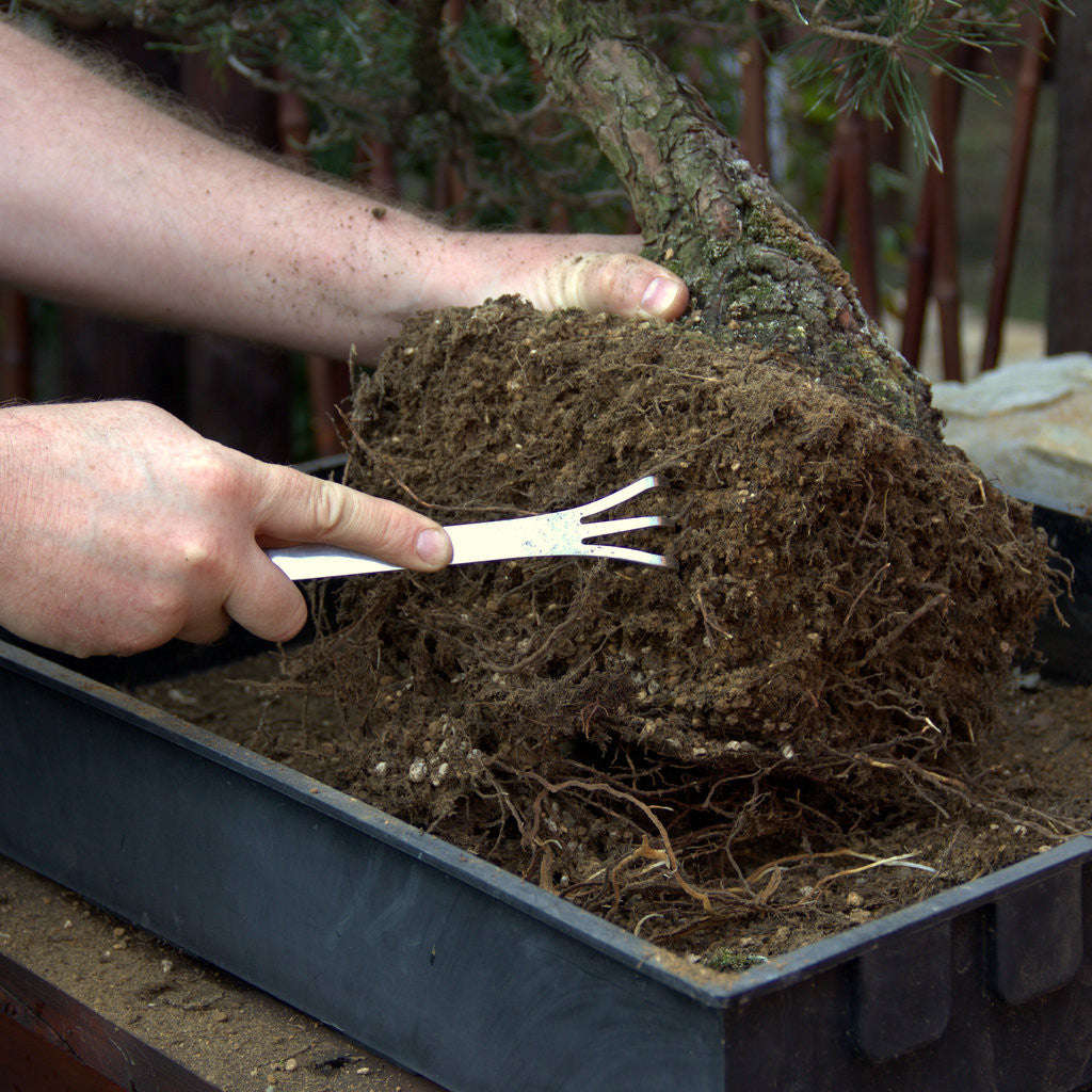 Combination Rake and Tweezer, 21cm