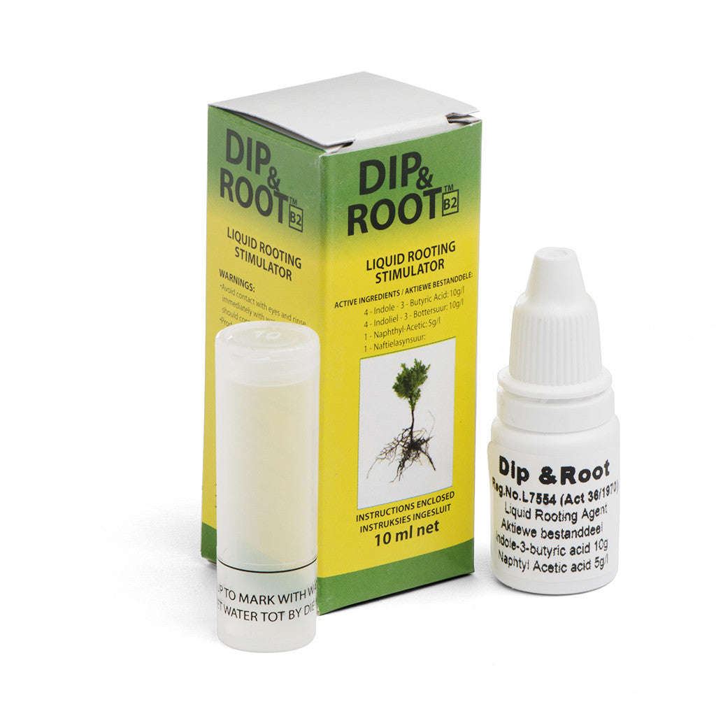 Dip & Root, 10ml