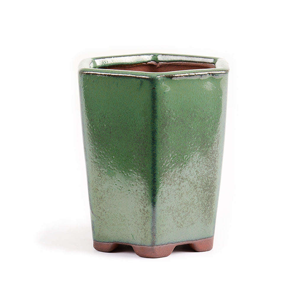 Assorted Glazed Cascade Pots, 9 x 9 x 10cm - Green Hexagon (6 Sides)