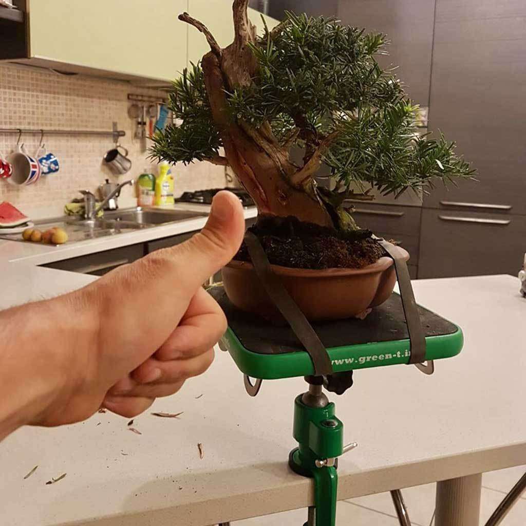 Green T Mini Bonsai Turntable - Green T Mini suction model