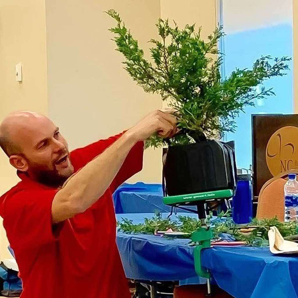 Green T Mini Bonsai Turntable - Green T Mini suction model