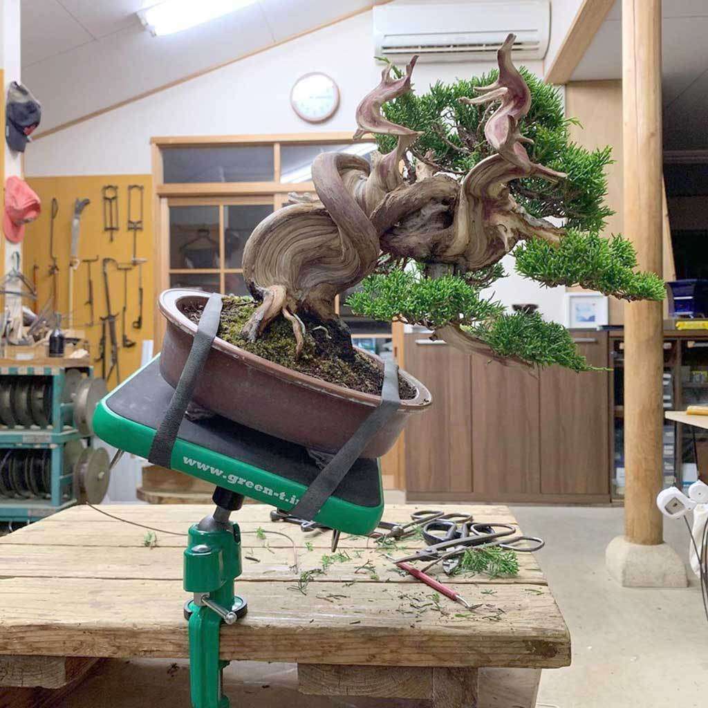 Green T Mini Bonsai Turntable - Green T Mini suction model