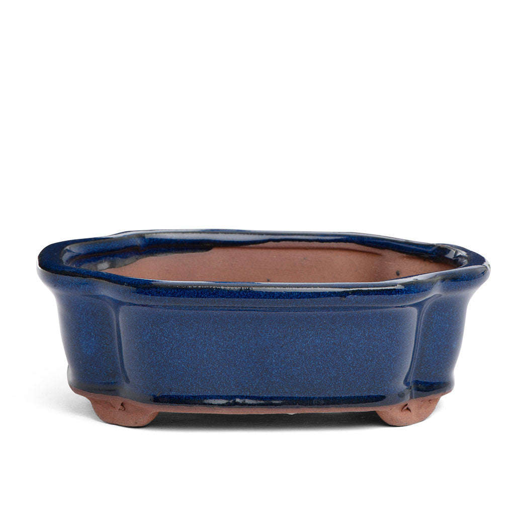 Assorted Glazed Bonsai Pots, 6" - Blue Rectangle, 15.5 x 12 x 5cm