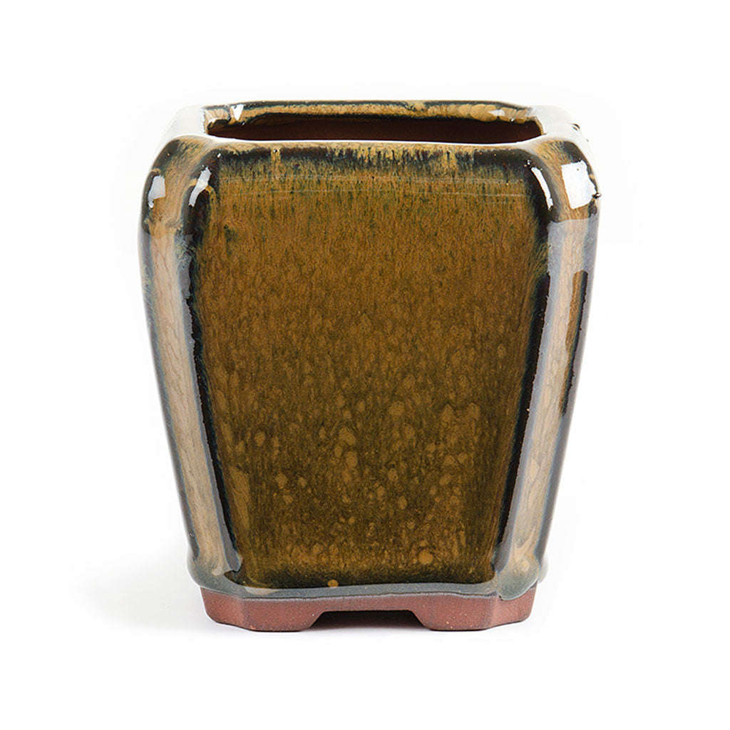 Assorted Glazed Cascade Pots, 9 x 9 x 10cm - Mustard Square