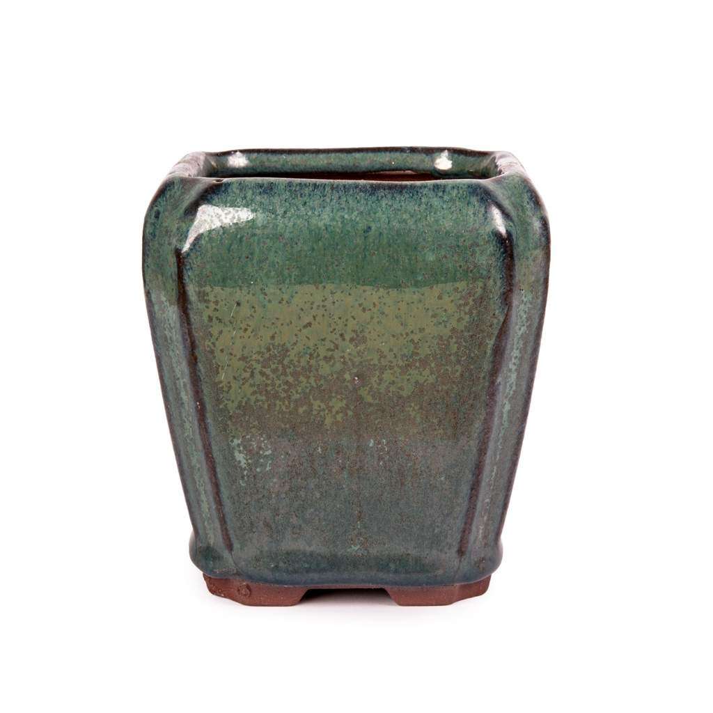 Assorted Glazed Cascade Pots, 9 x 9 x 10cm - Green Square with rounded lip