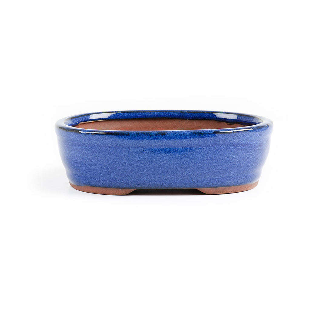 Assorted Glazed Bonsai Pots, 18 x 14 x 5.5cm - Blue Oval
